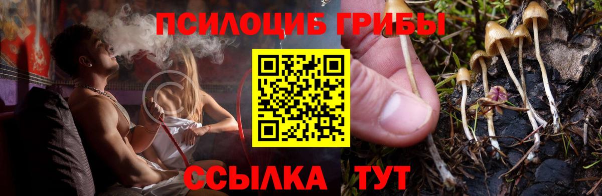 где купить наркоту  Псилоцибиновые грибы прущие грибы  Вход с VPN  Псилоцибиновые грибы мухоморы  Королёв 